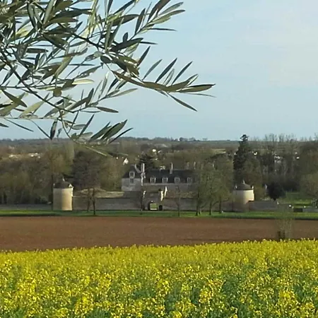Au Grain D'Orge Villa Echire Exterior photo