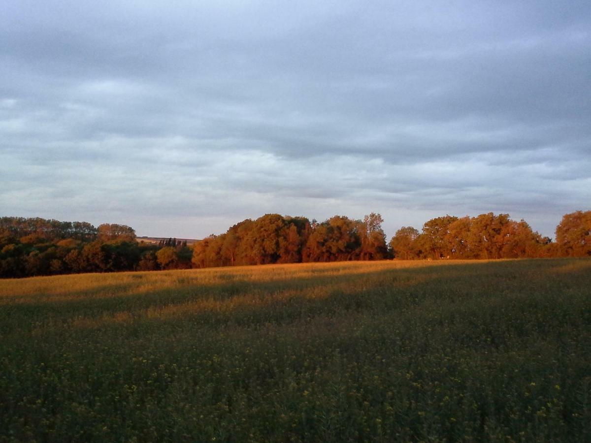 Au Grain D'orge